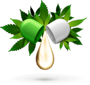 vana app clone Vana App Clone